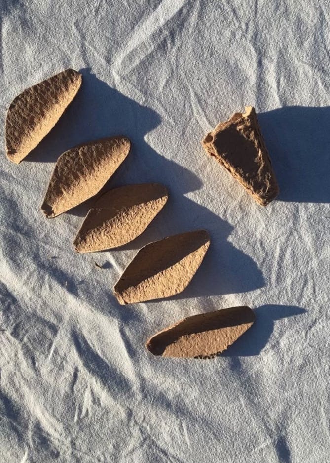 Blomster av eggekartong