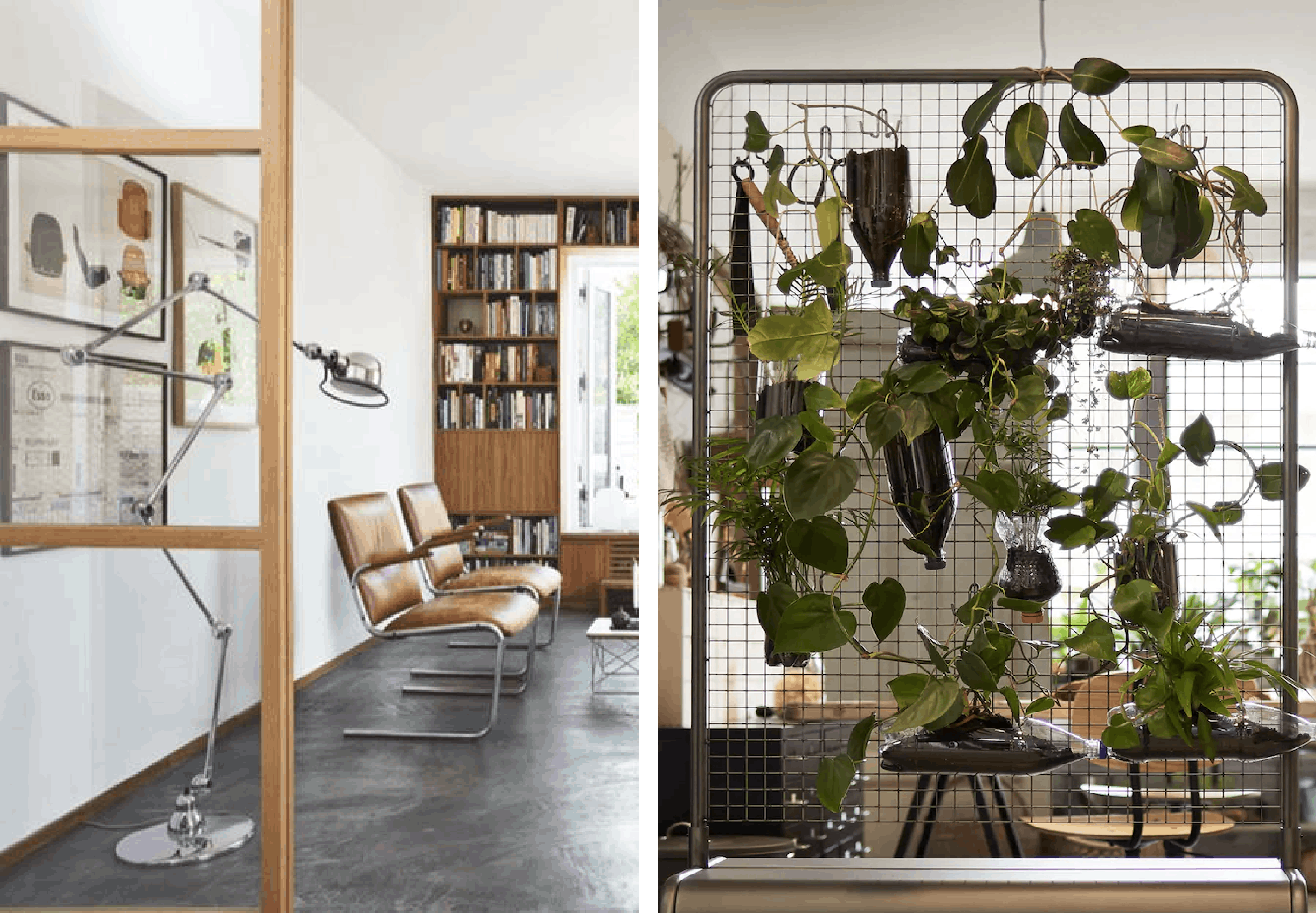 Romdeler med planter og skillevegg