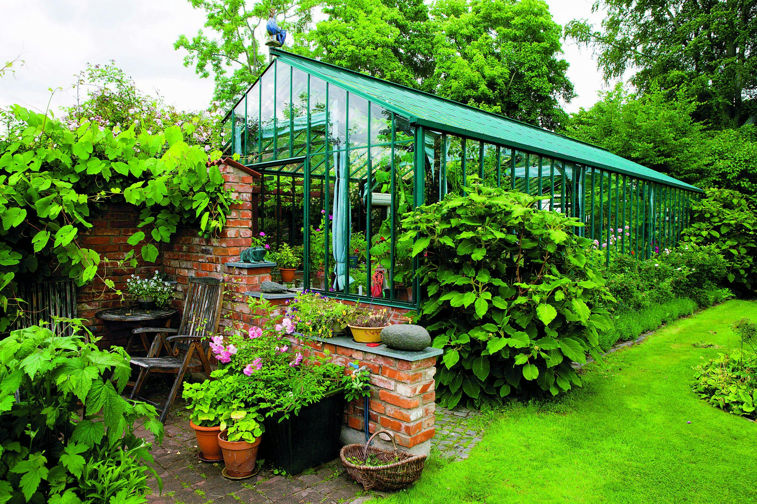 vaxthus199 I drivhuset kan du dyrke chili og tomater