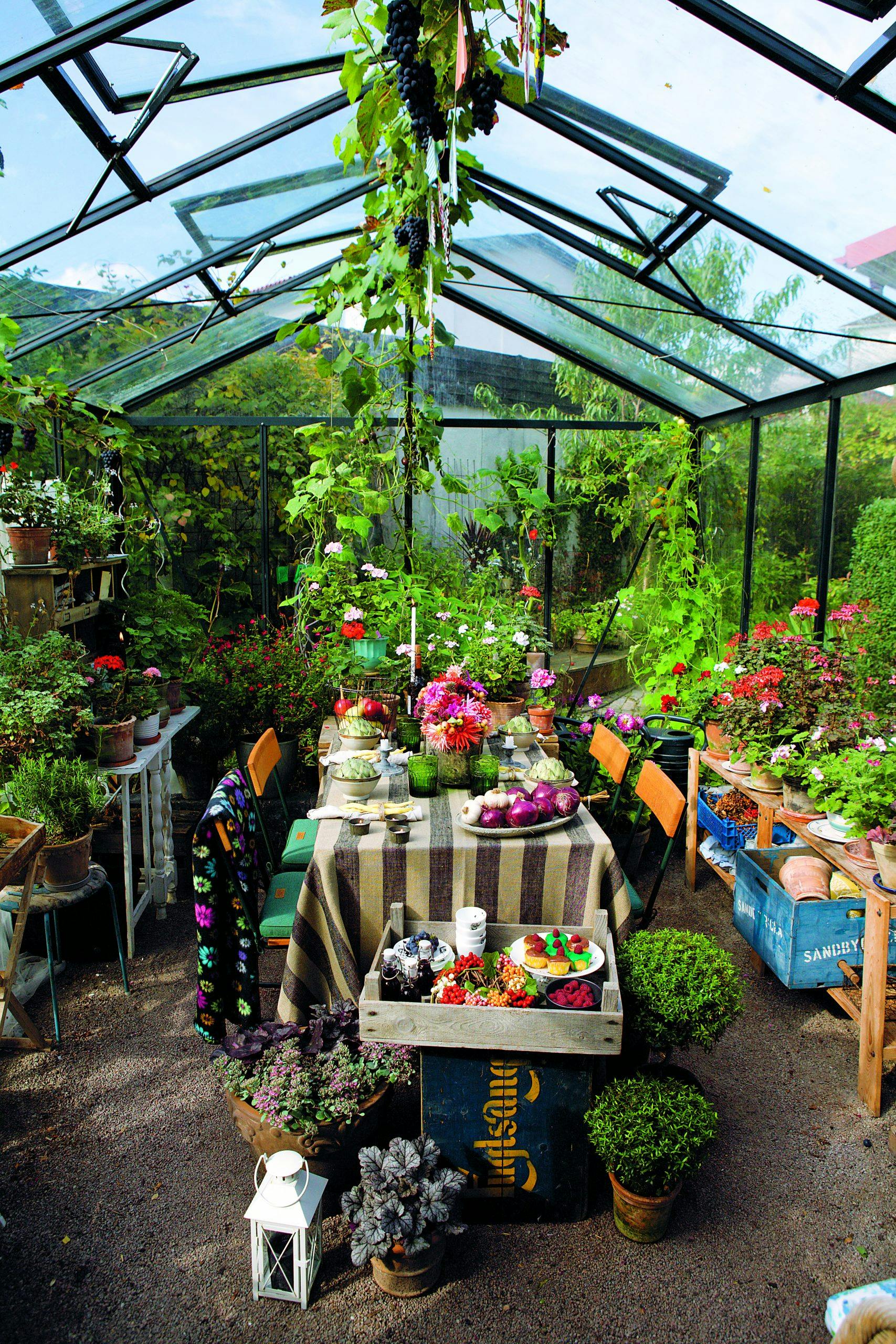 vaxthus437 Lurer du på hvordan du lager drivhus?