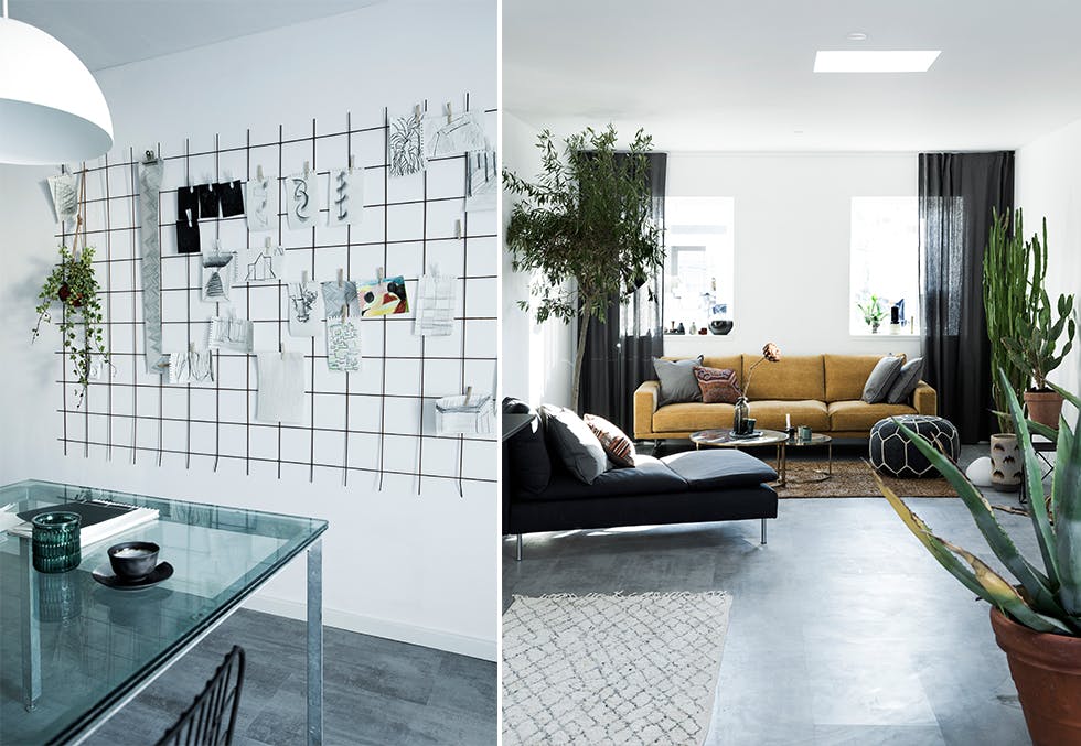 hjemme hos danske frederik og manne