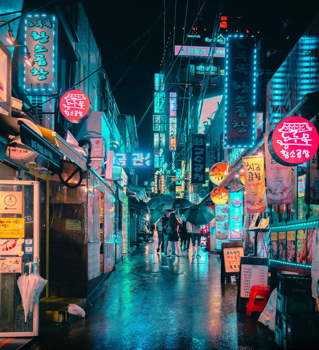 Seoul, Sydkorea Rejseguide Seoul i Sydkorea