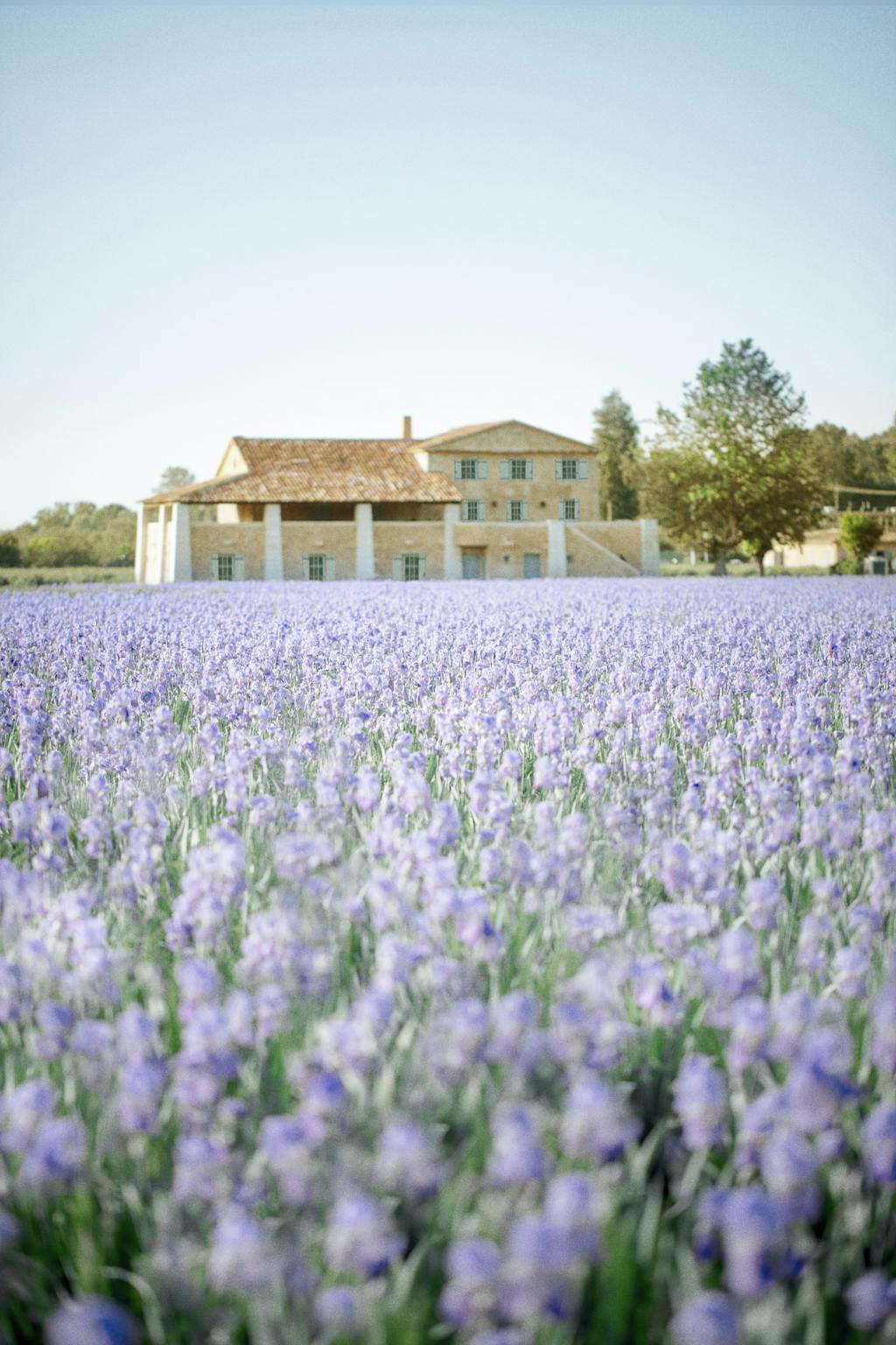 coco Chanel parfyme Gabrielle Chanel Essence