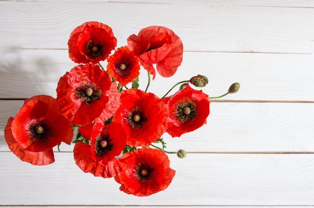 Valmuer Valmuer 2019's største blomstertrend