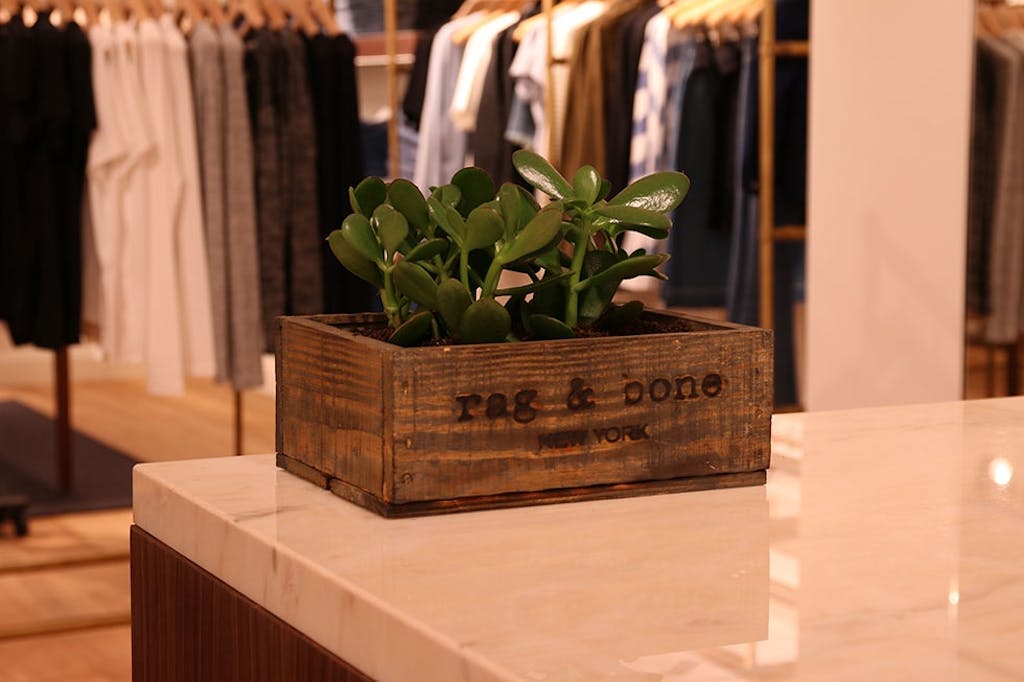 rag&bone butikk plante