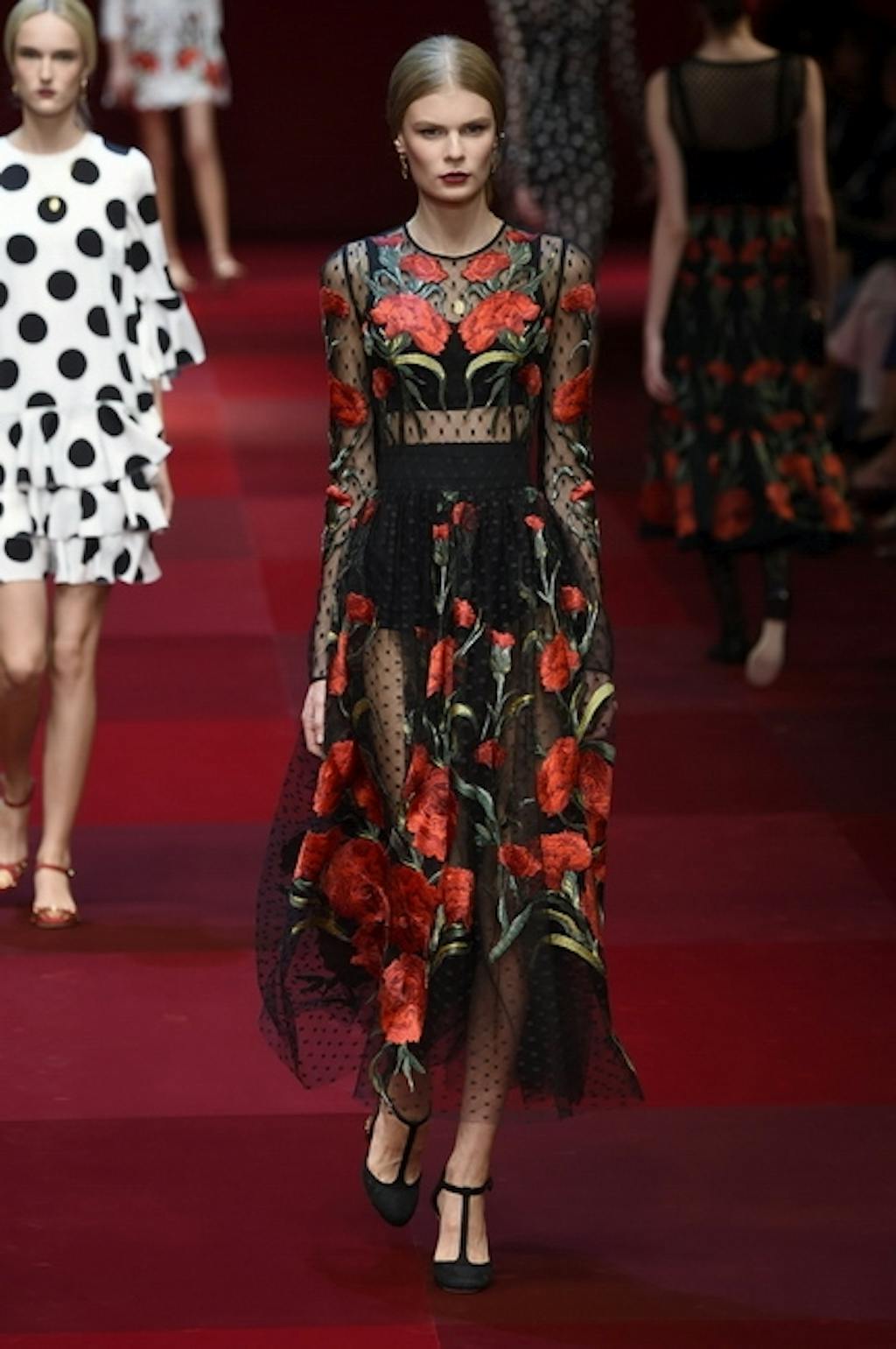 Dolce & Gabbana SS15
 
 
 
