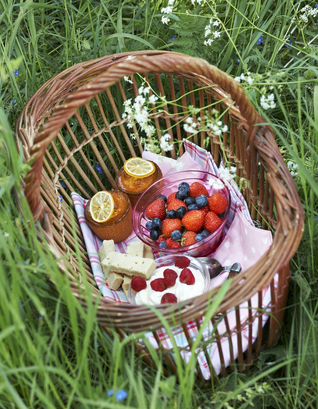 Picnic-kurv fra Ilsenso fra 299 kr. Picnic-kurv fra Ilsenso fra 299 kr.
