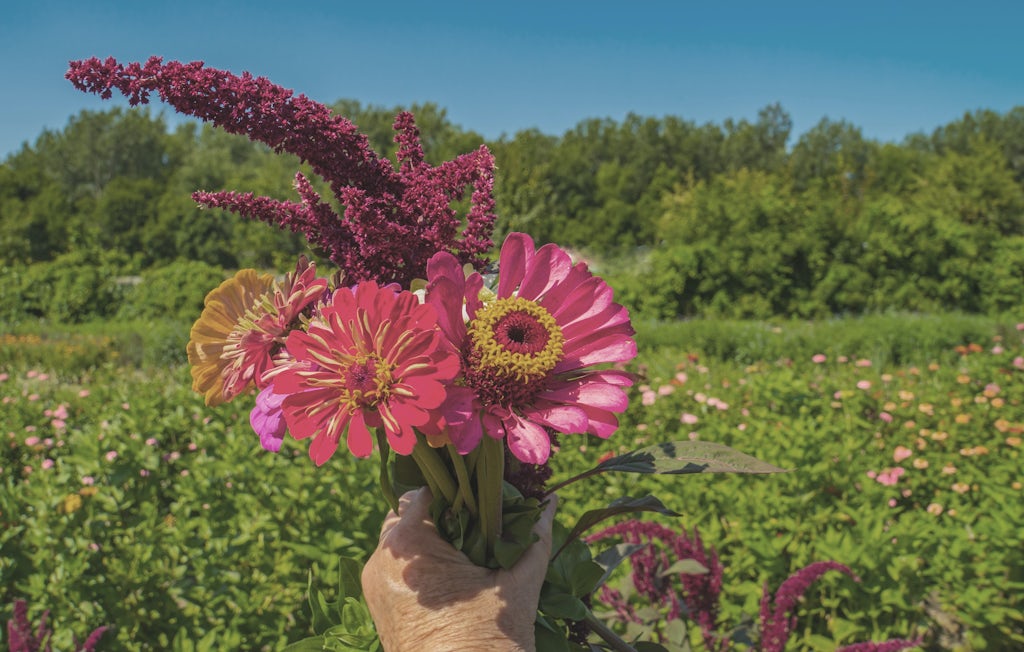 picking flowers