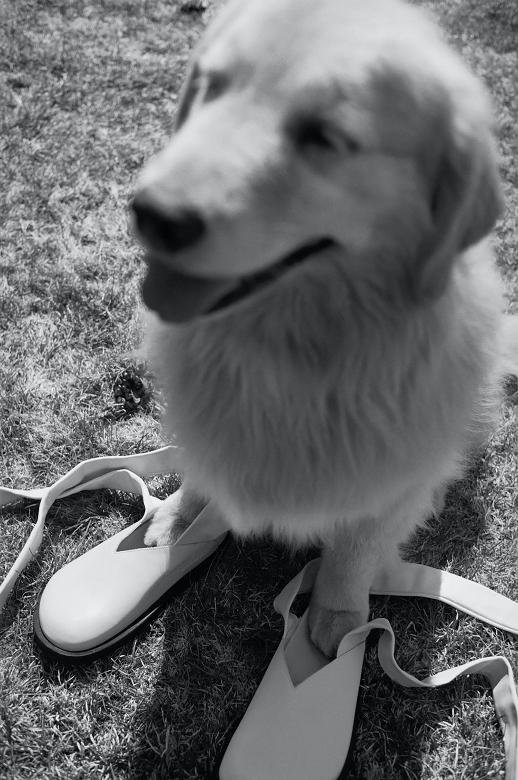 BIRKENSTOCK X JIL SANDER BIRKENSTOCK X JIL SANDER