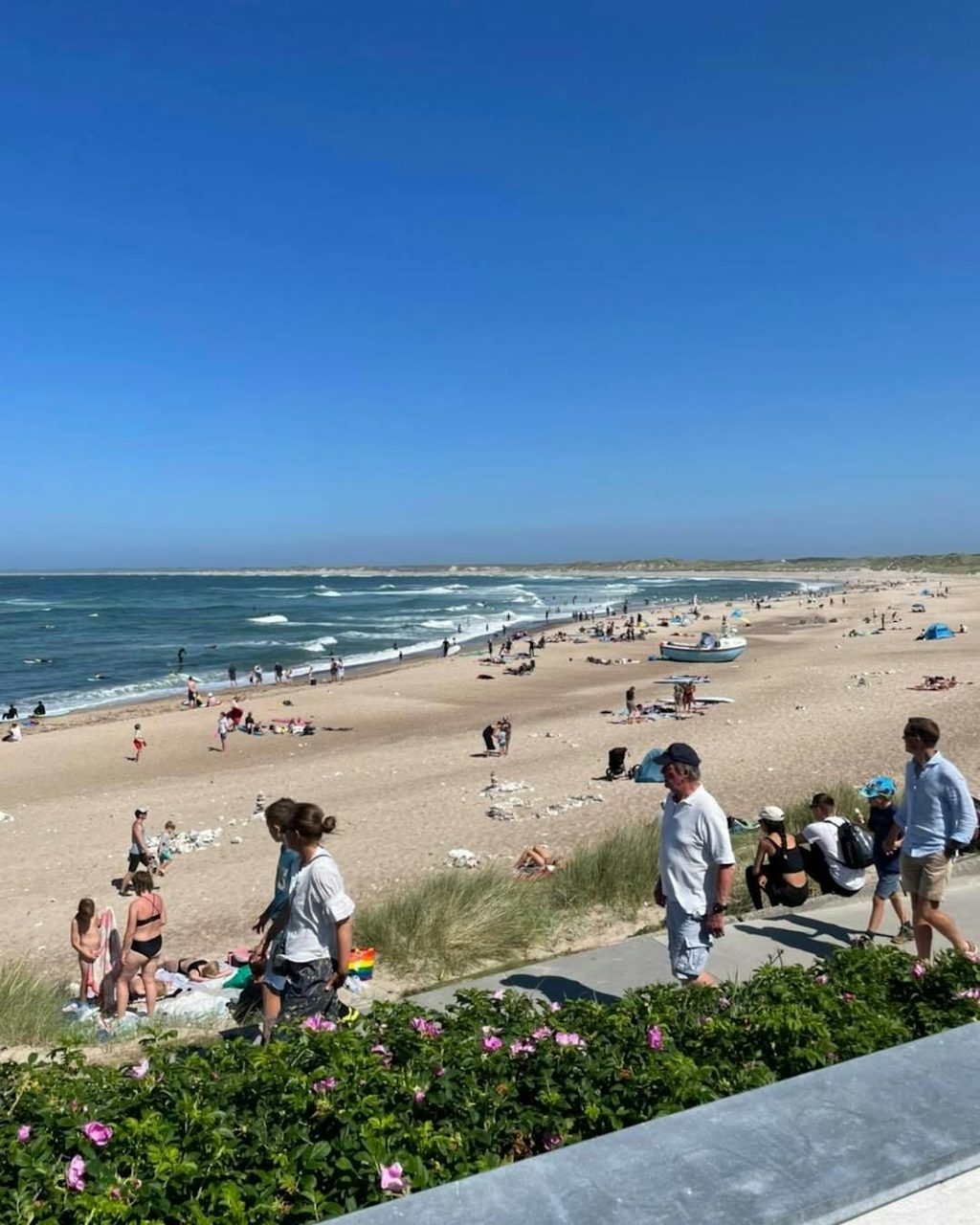 glade gæster på stranden glade gæster på stranden
