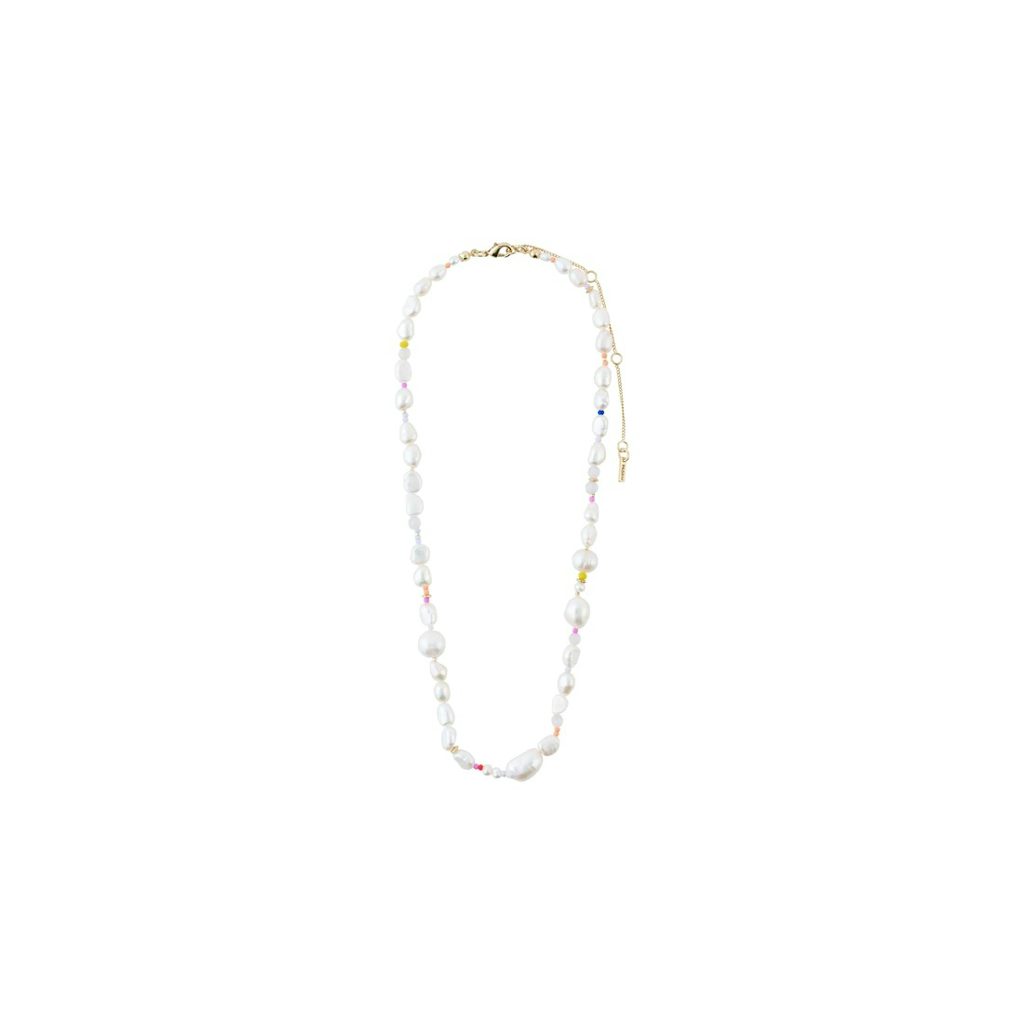 Pilgrim-