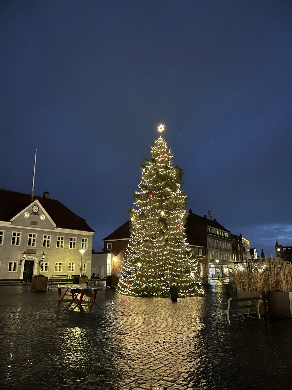 juletrae bornholm juletrae bornholm
