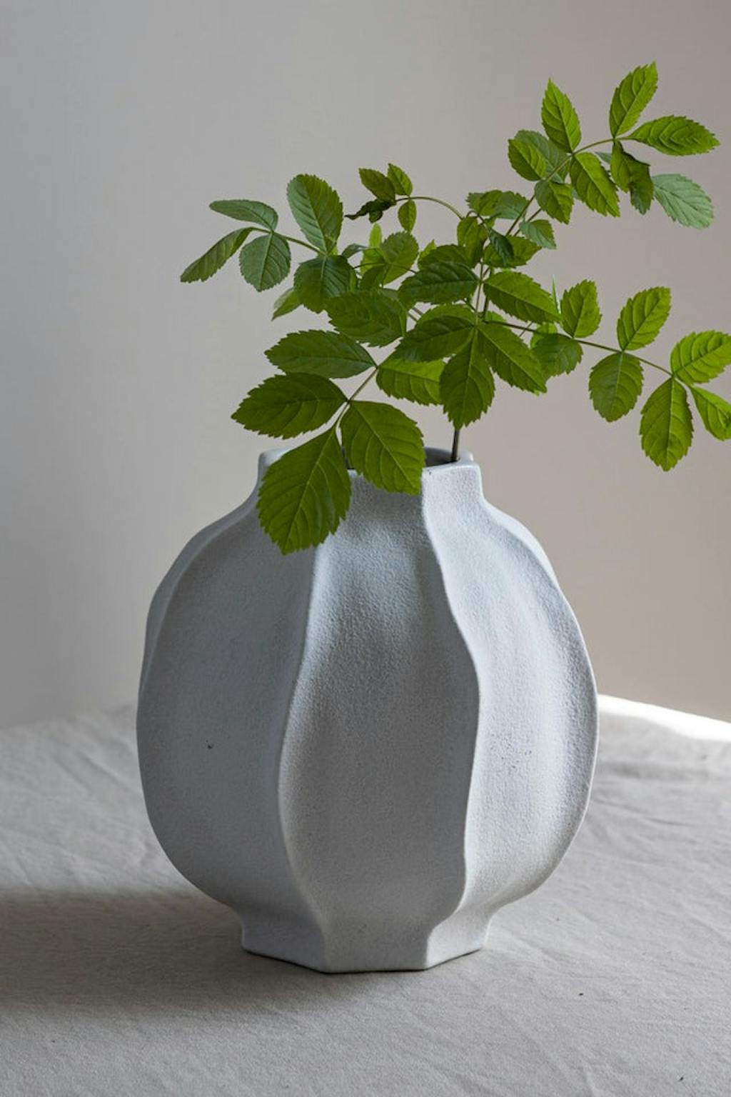vase fra bolina