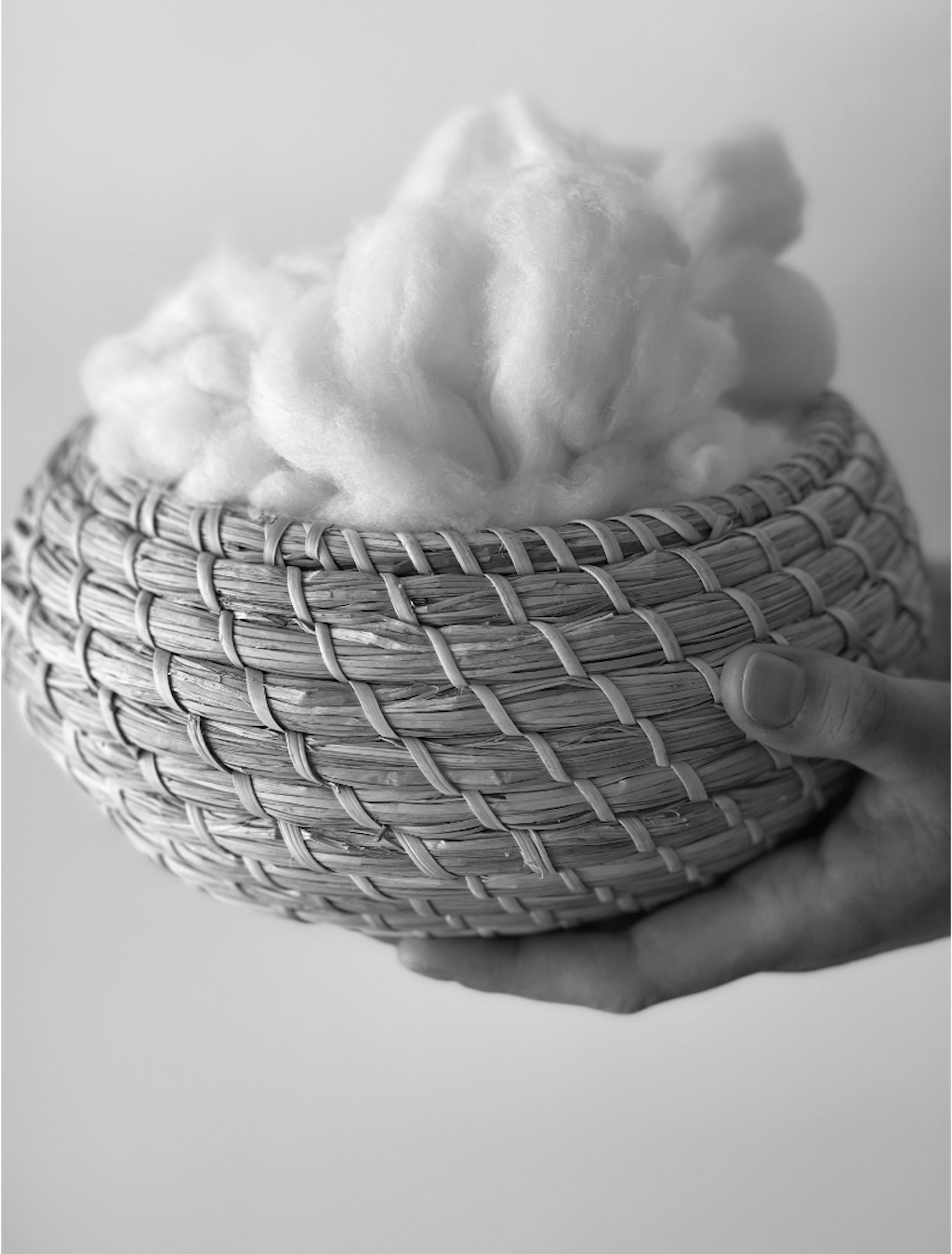 Kashmir fra Kashmina