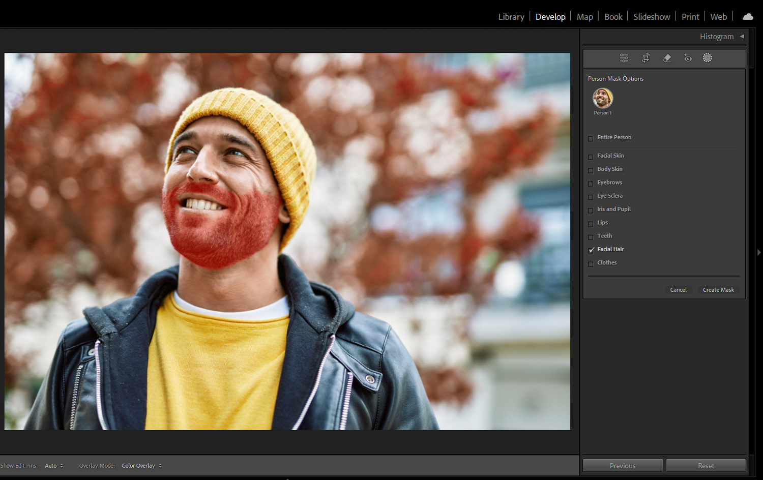 Masking i Lightroom
