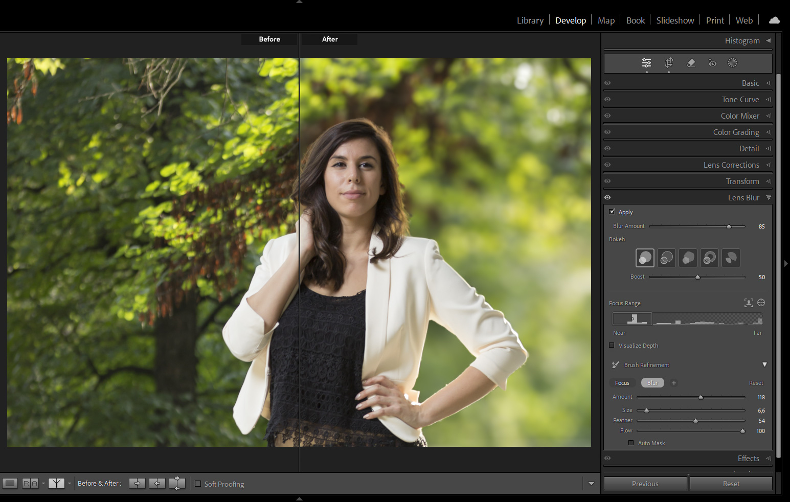 Lens Blur i Lightroom