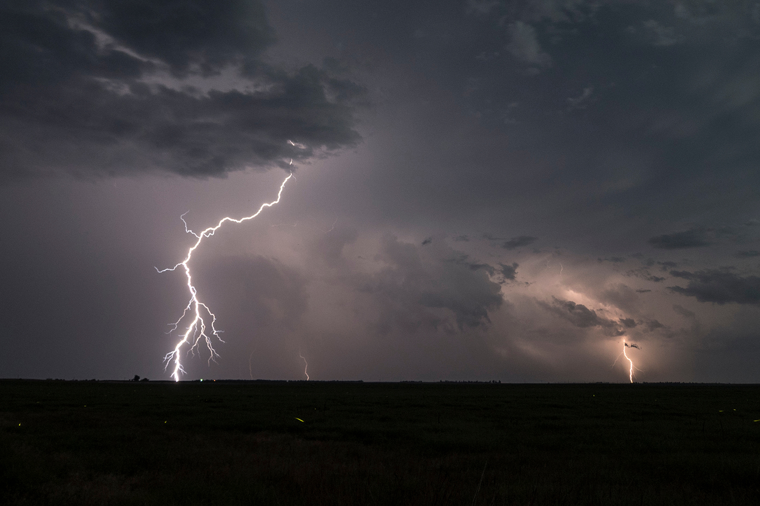 Lynnedslag over en mark