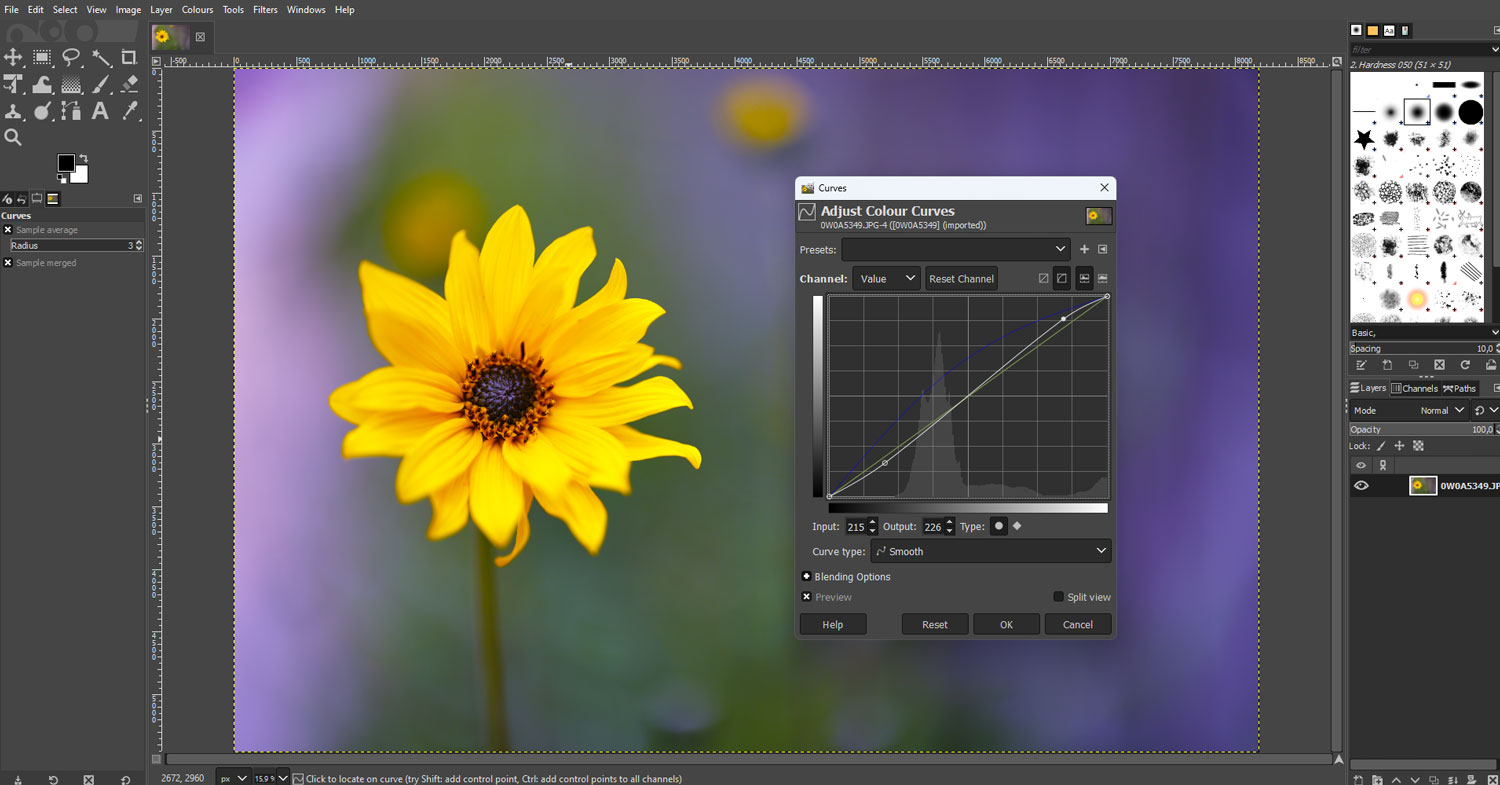 Billedredigeringsprogrammet Gimp er et alternativ til Photoshop