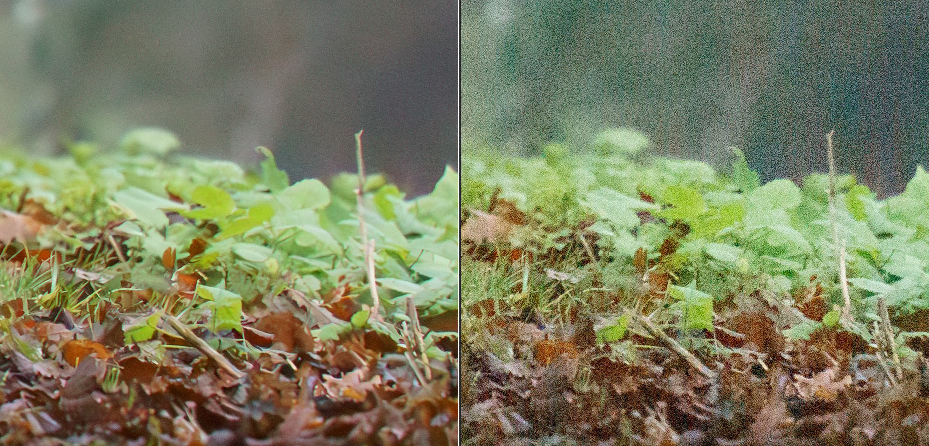 Kuva ennen ja jälkeen kohinanpoiston.