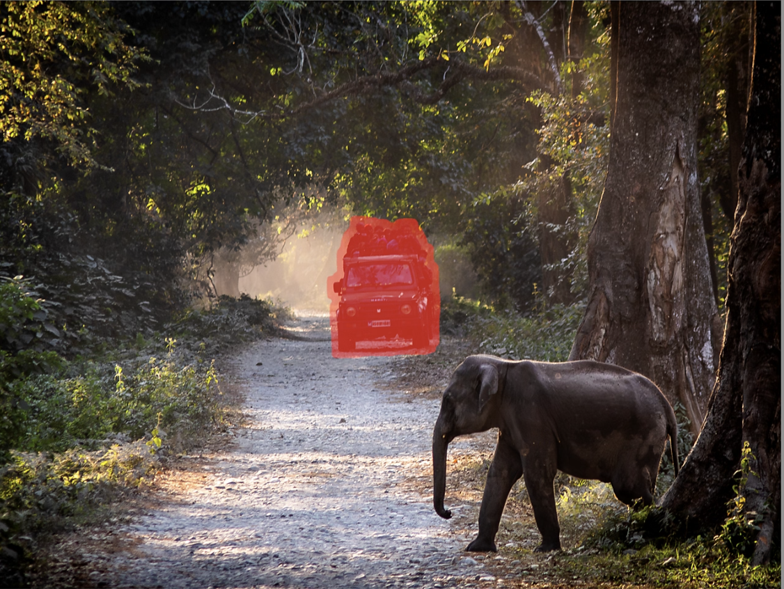 Fjern forstyrrende elementer med Generative Remove.
