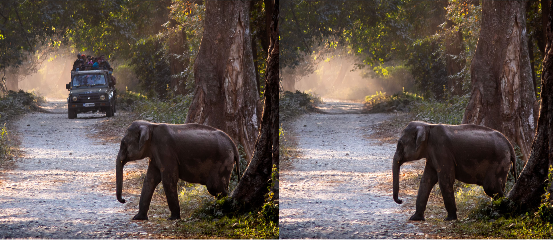 Når bilen er væk, dannes en baggrund, der matcher landskabet.