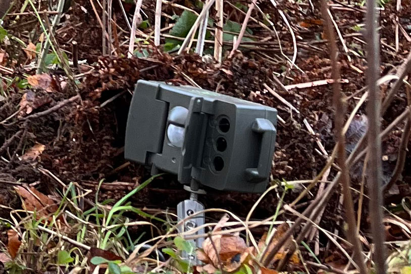 När rörelsesensorn registrerar ett djur tar kameran en bild.