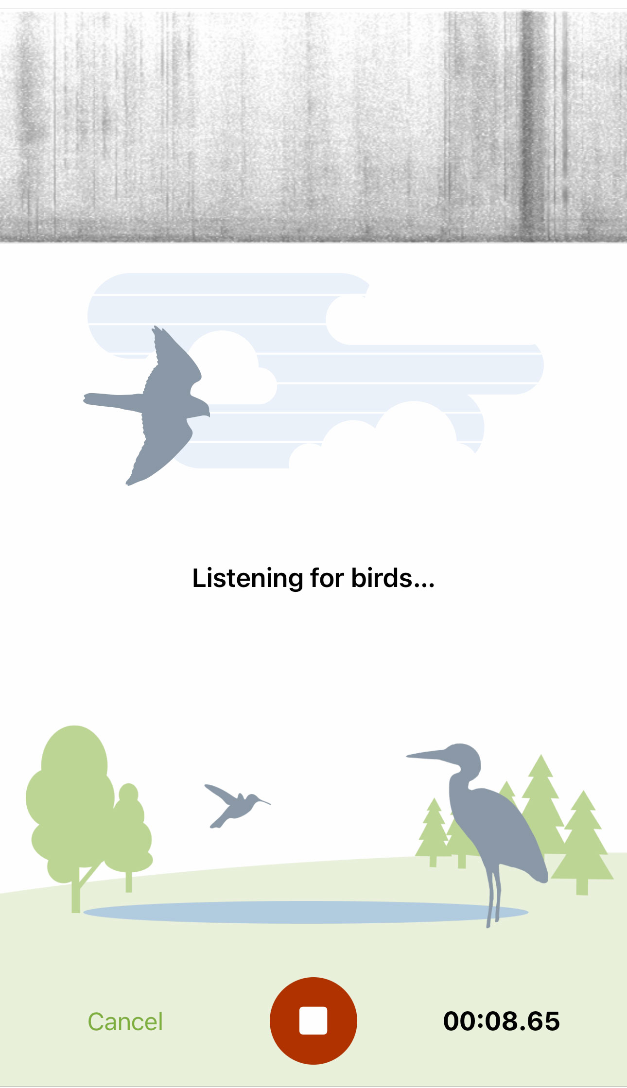 Merlin Bird ID listaa kaikki tunnistamansa lähistön linnut.