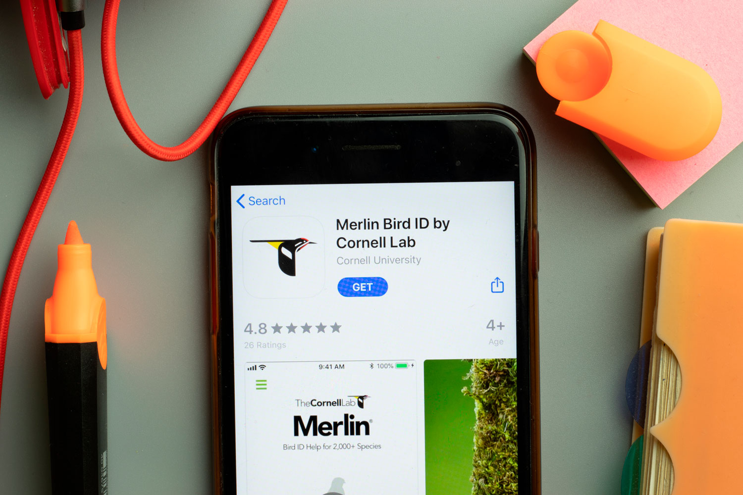 Appen er tilgængelig til både iOS og Android. 