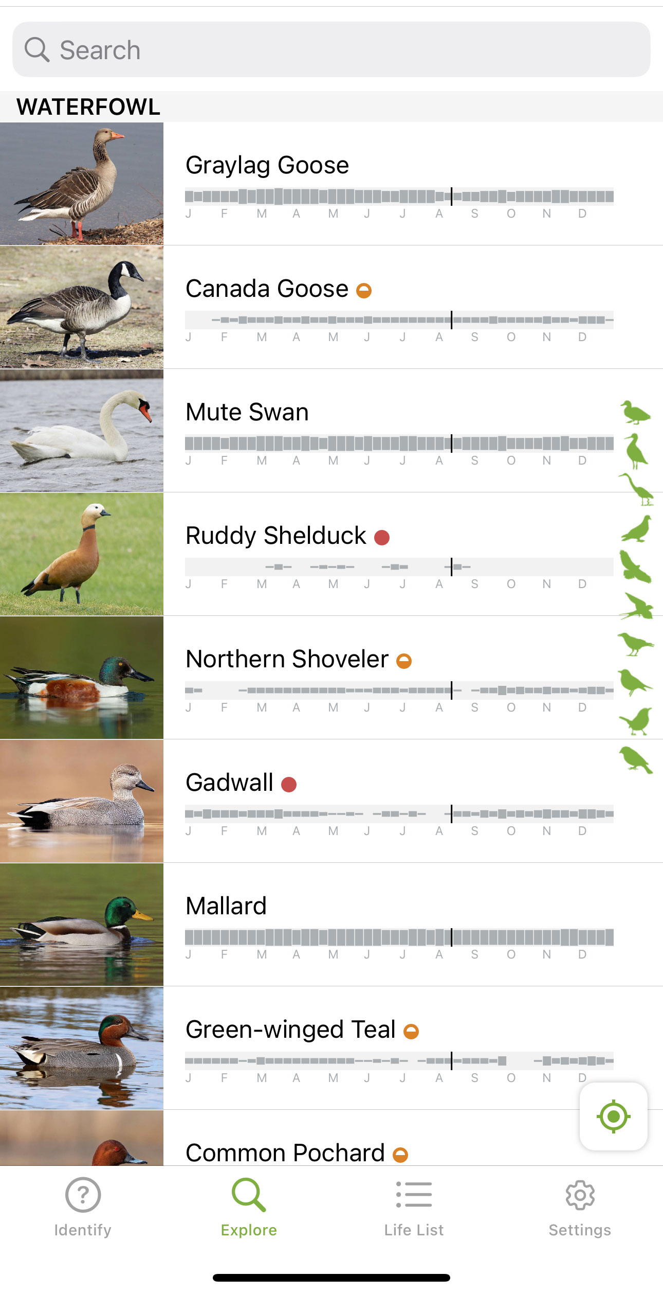 Du kan se billeder af stort alle fuglearter inden for din verdensdel og lytte til deres stemmer i Merlins store bibliotek.