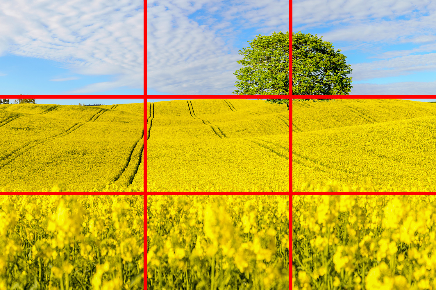 Gitter med tredjedele i et landskabsbillede.