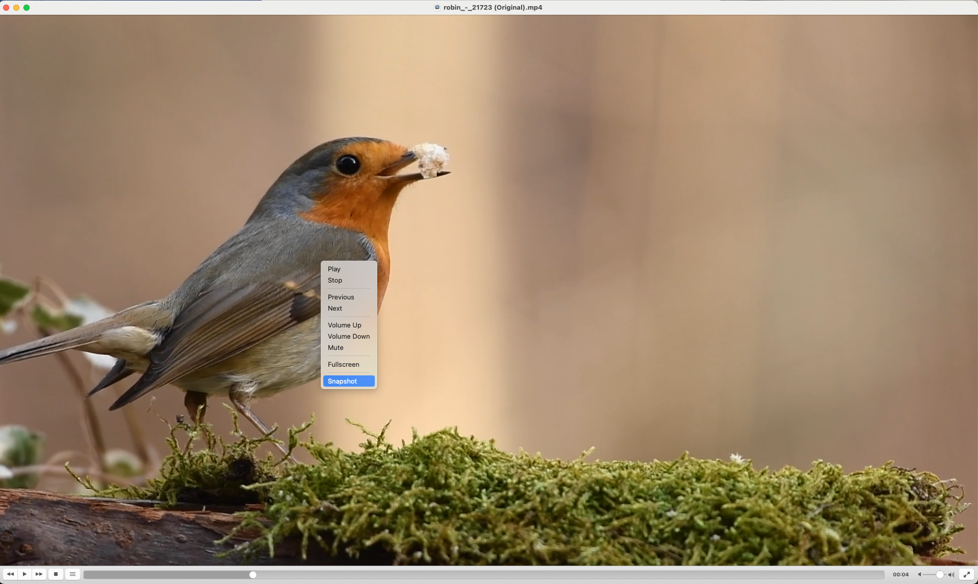 Trykk på pause og spol frem til punktet i videoen der du vil hente ut et stillbilde, høyreklikk og trykk på Snapshot.