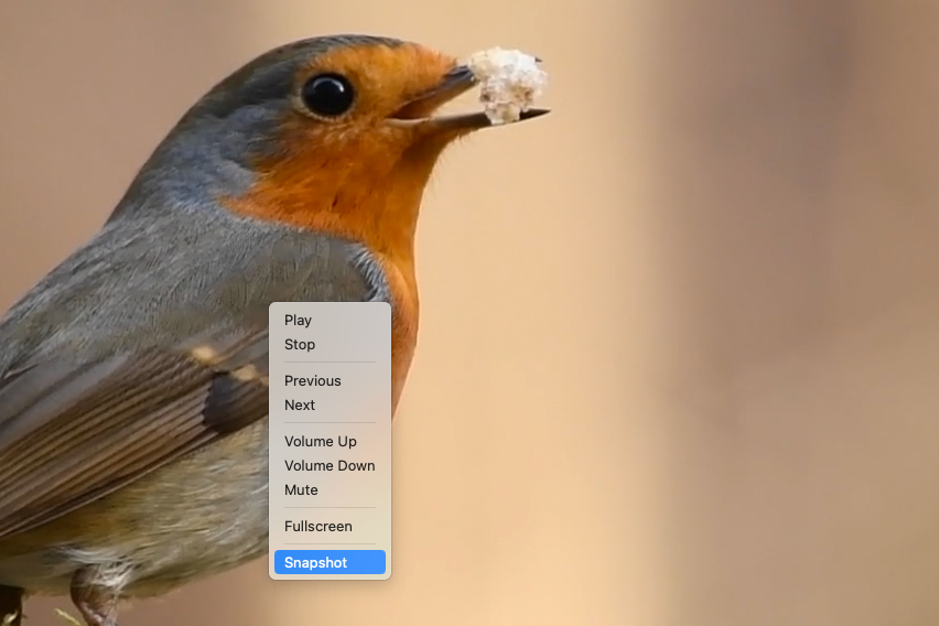 Du kan til hver en tid gemme et snapshot af en din video som et foto med programmet VLC.