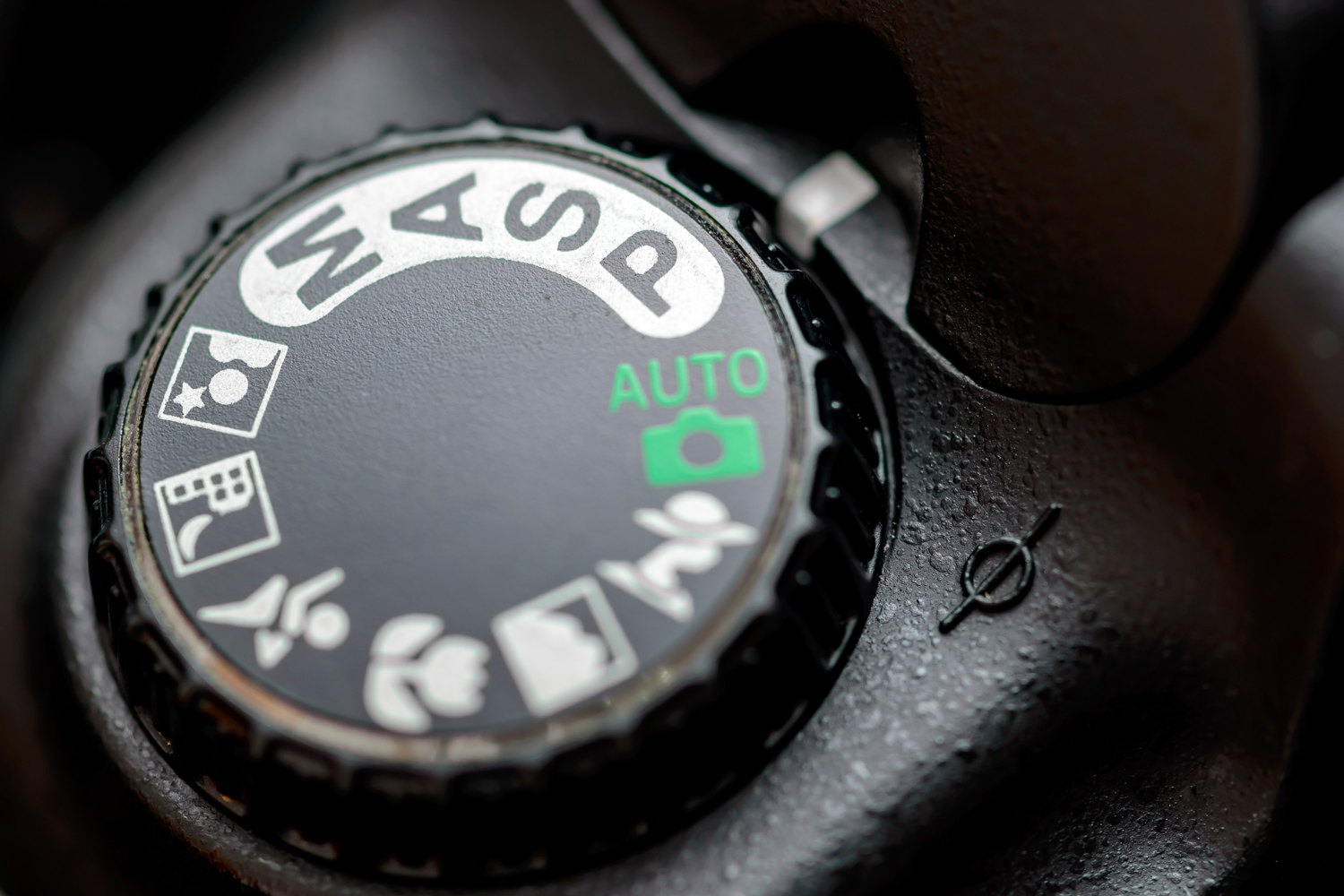 P står för Program.