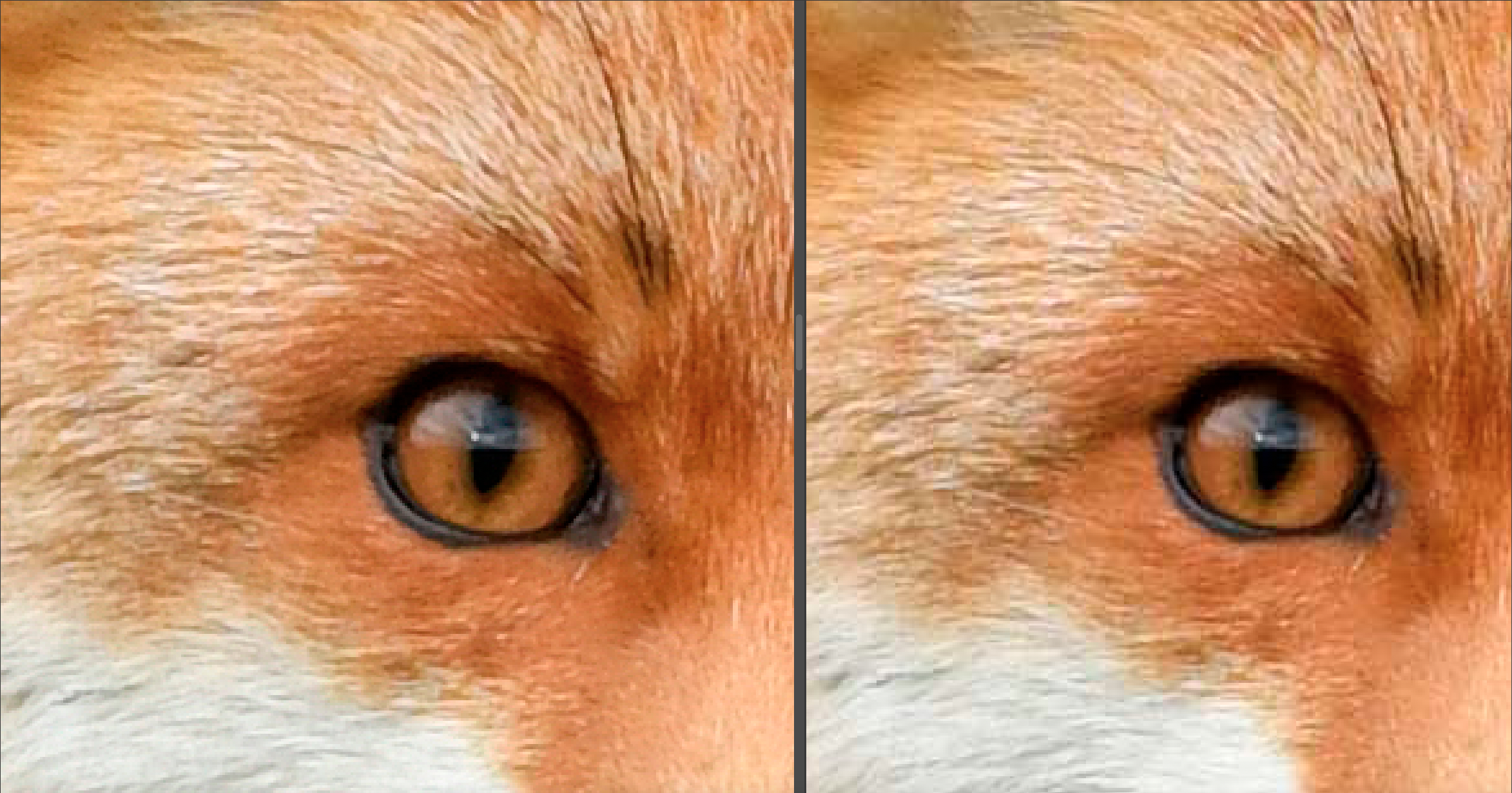 Det er svært vanskelig å se forskjell på det 20 MB store ukomprimerte bildet til venstre og det 742 kb store komprimerte bildet til høyre.