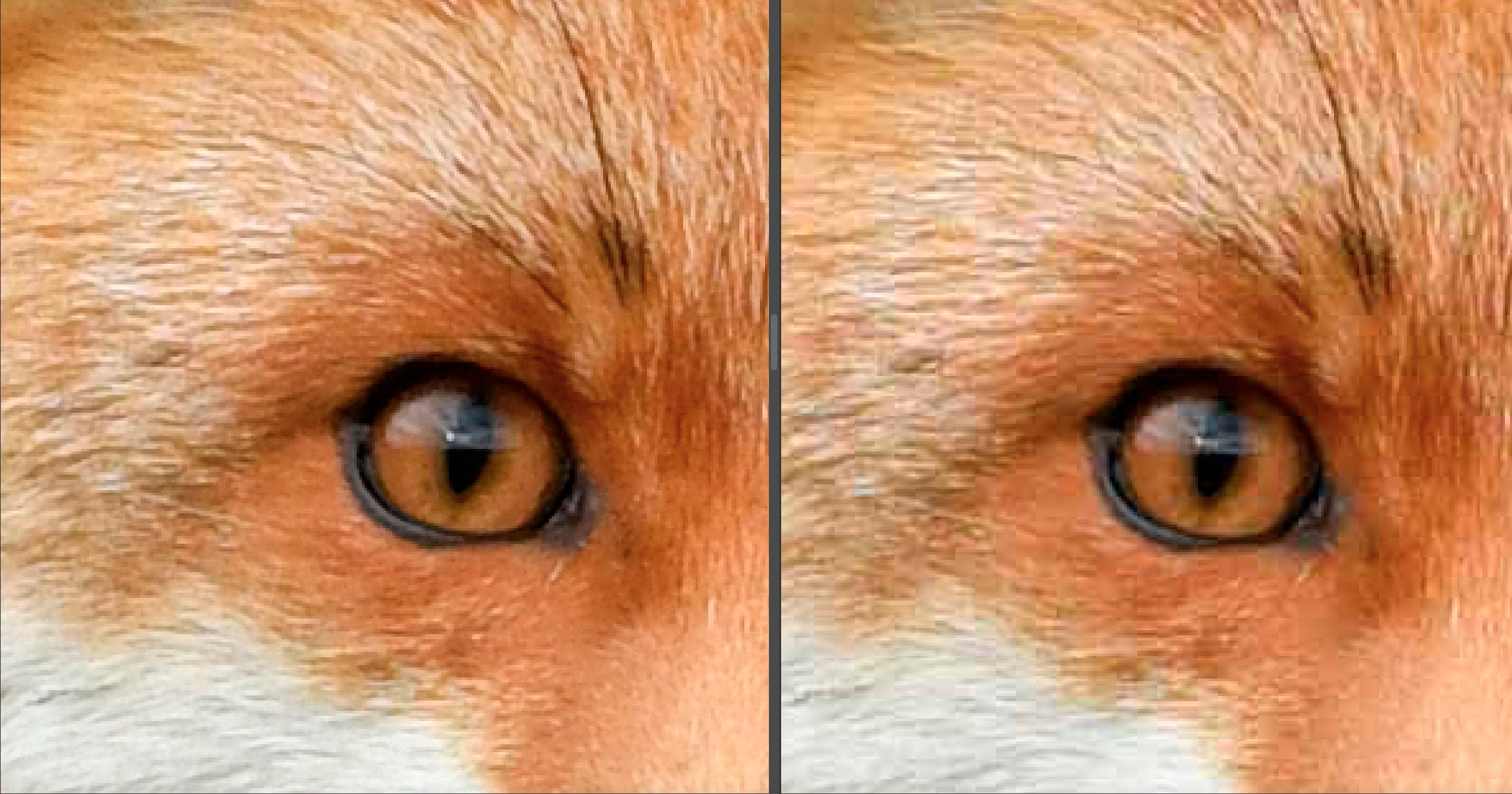 Til venstre til originale ukomprimerede billede, til højre det komprimerede billede.