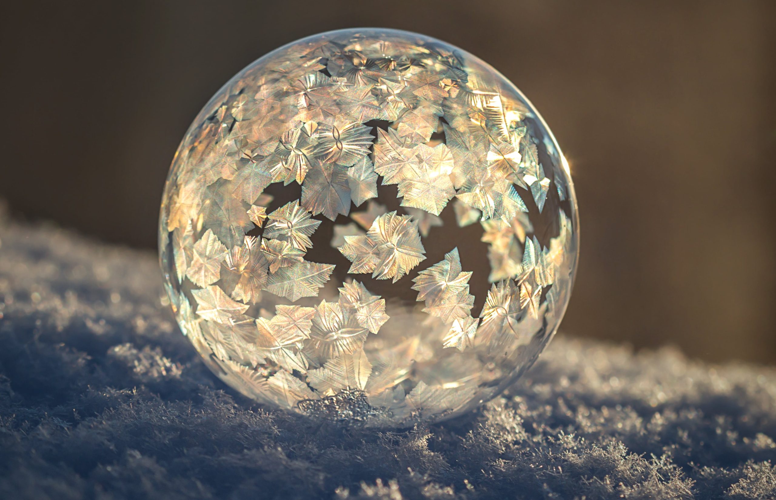 Fotografer frossen sæbeboble med iskrystaller