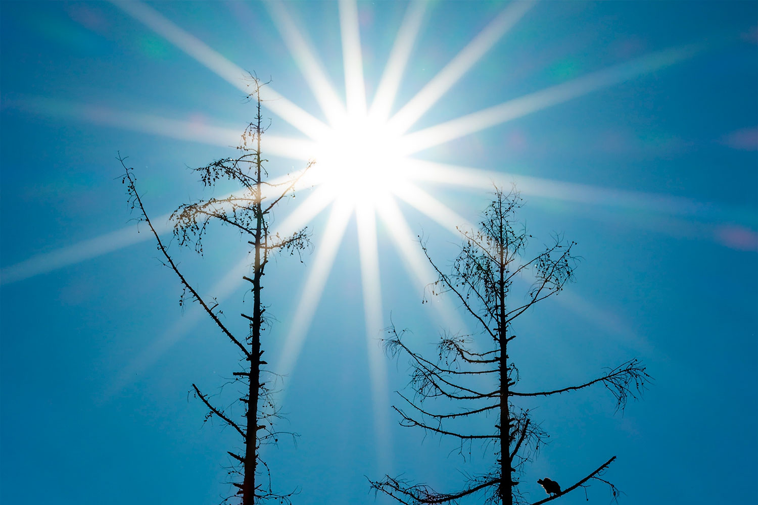 Solen får tydliga stjärnstrålar när man fotograferar med en liten bländaröppning.