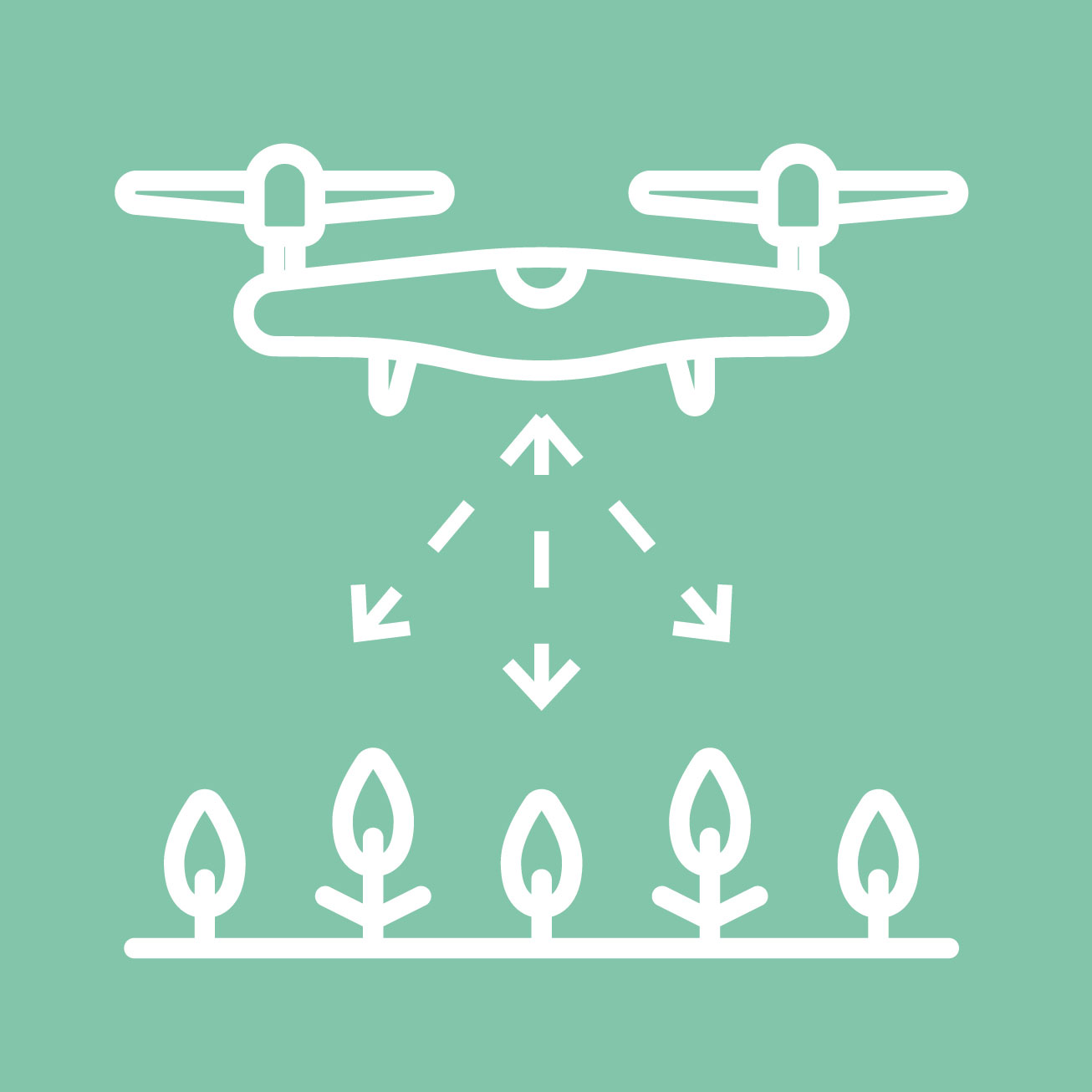 Det giver give en spændende komposition at skyde direkte ned og lade landskabet forme strukturerne. 