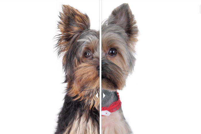 Med en før/etter-slider kan du dra bildene over hverandre for å se en endring.