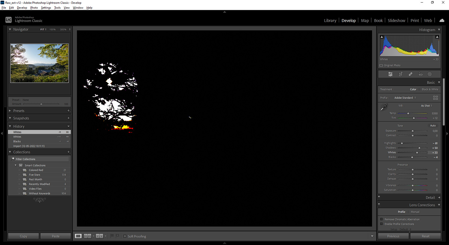 Screendump fra Lightroom