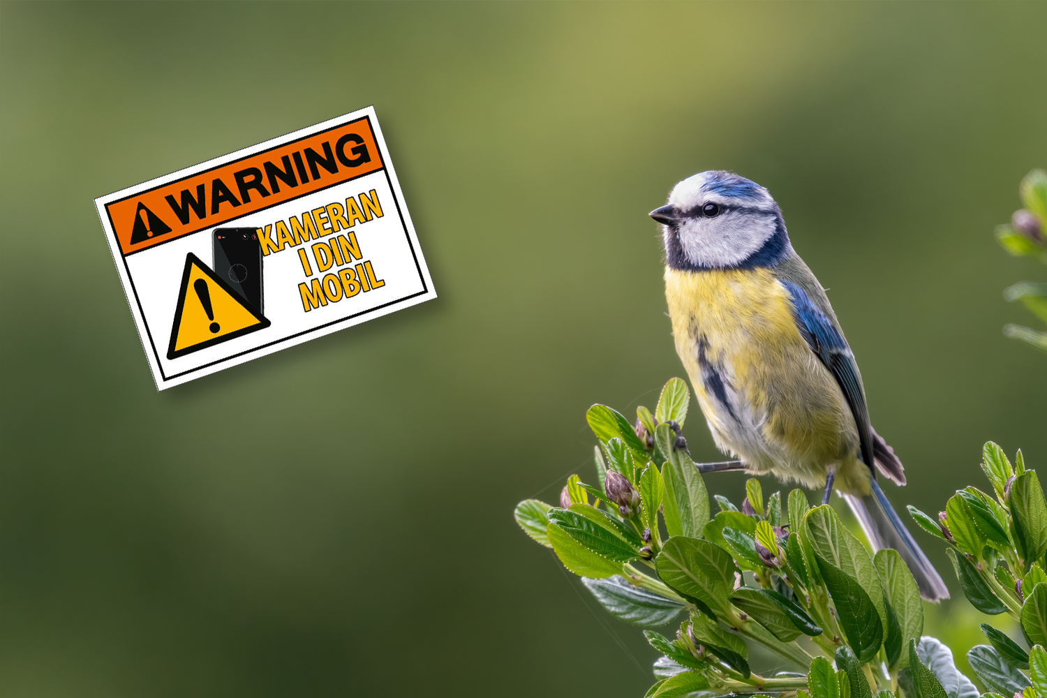 Fågel fotograferad på avstånd