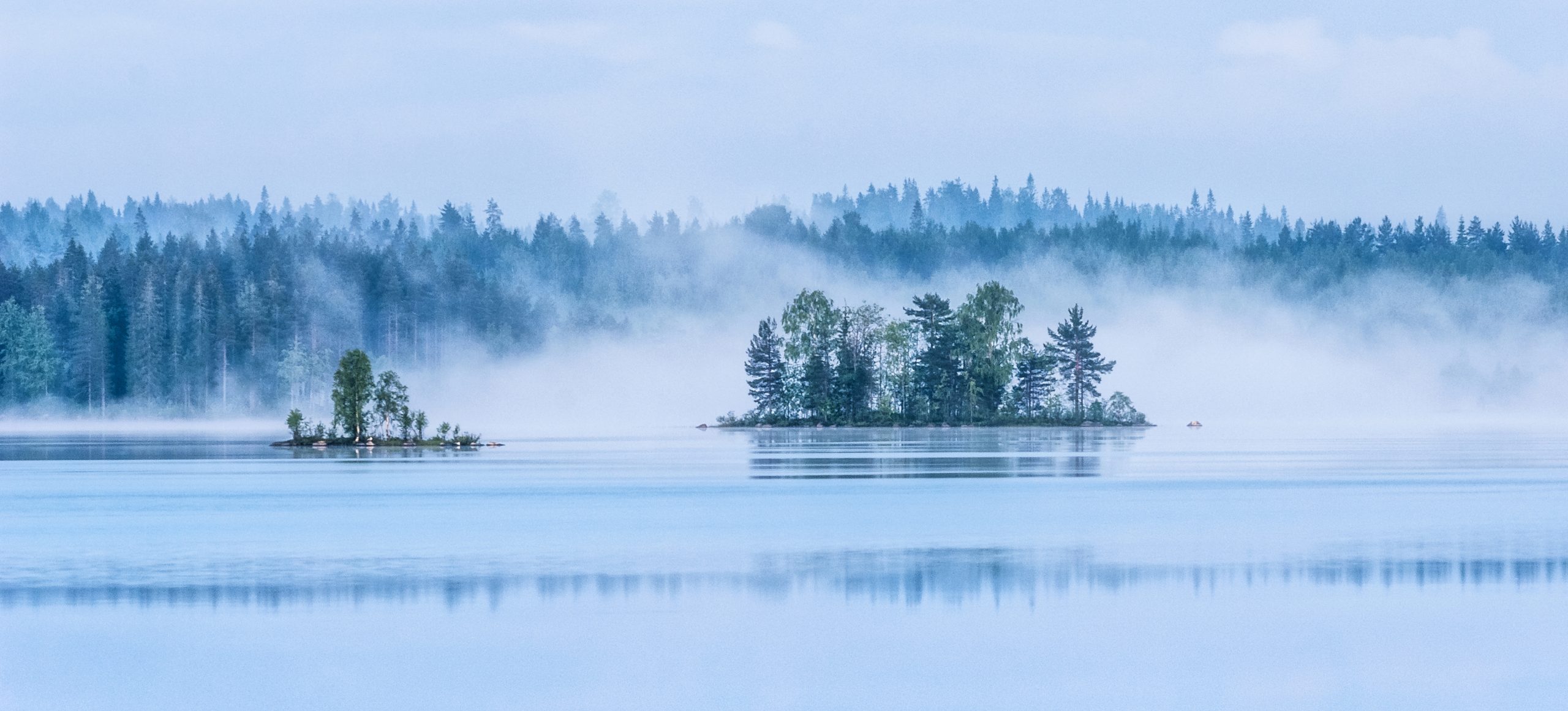 Sjö med dimma