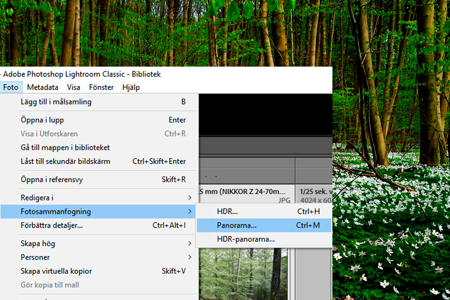 Så skapar du ett panorama i Lightroom.