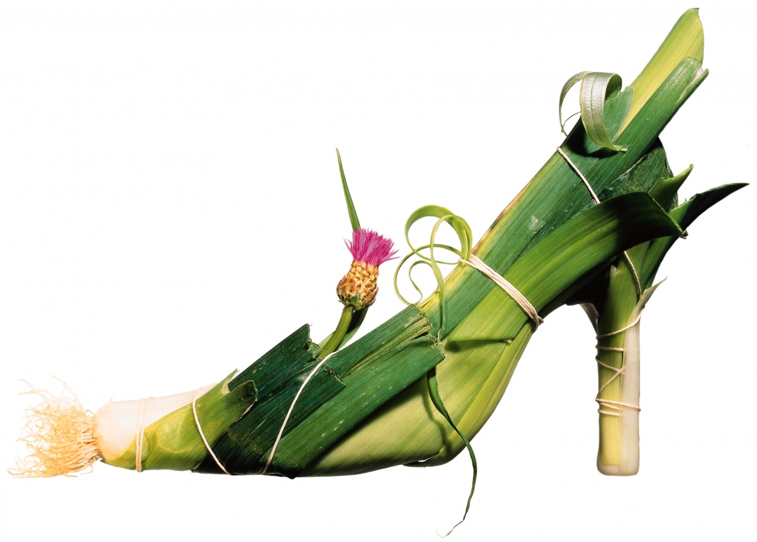 Stine Heilmannin purjokenkä.