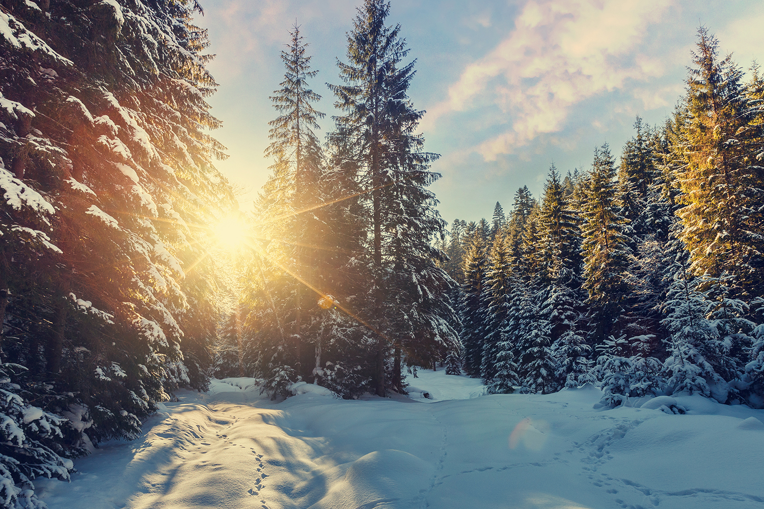 Modlys i vinterlandskab