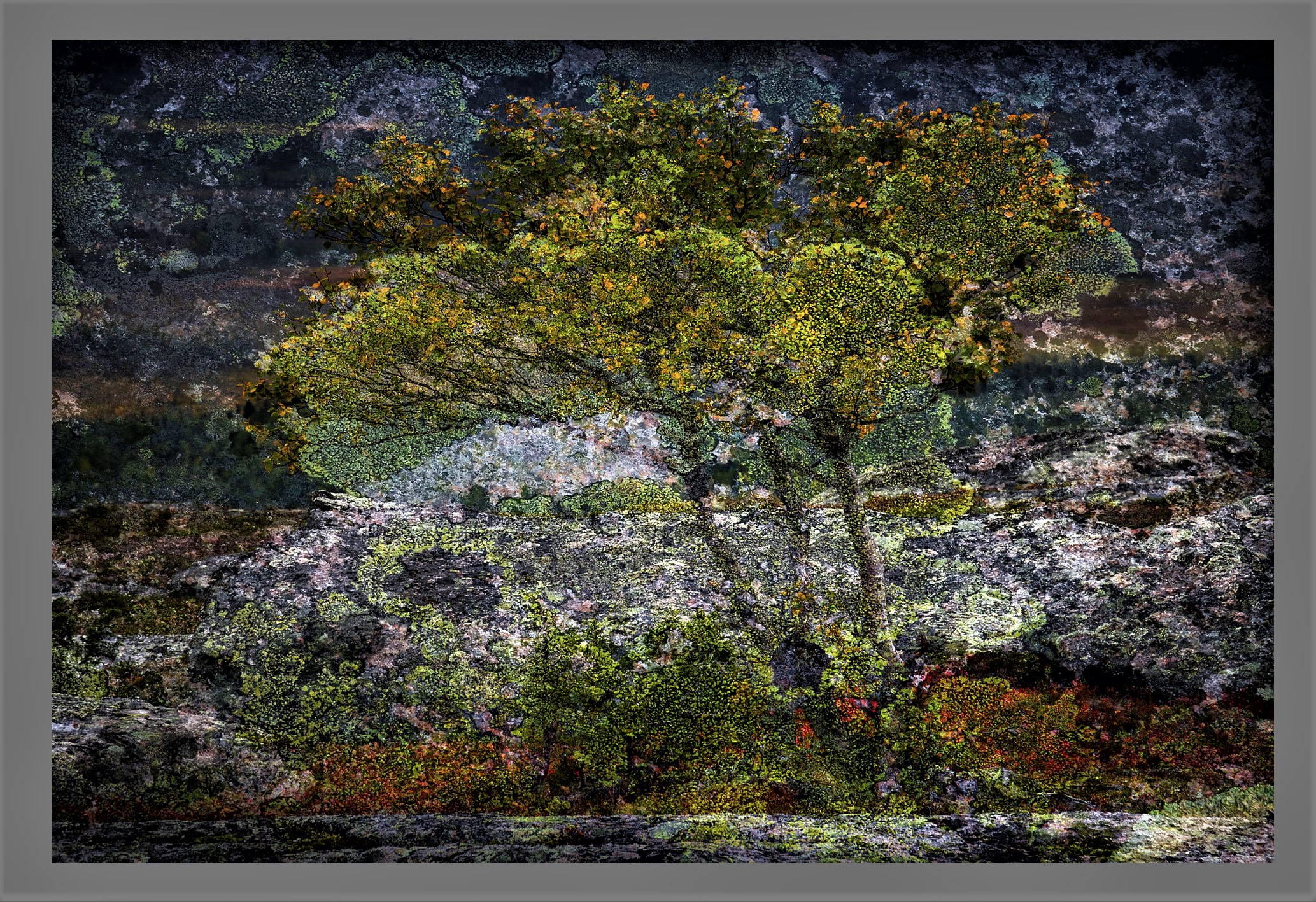 Timos dobbelteksponering.