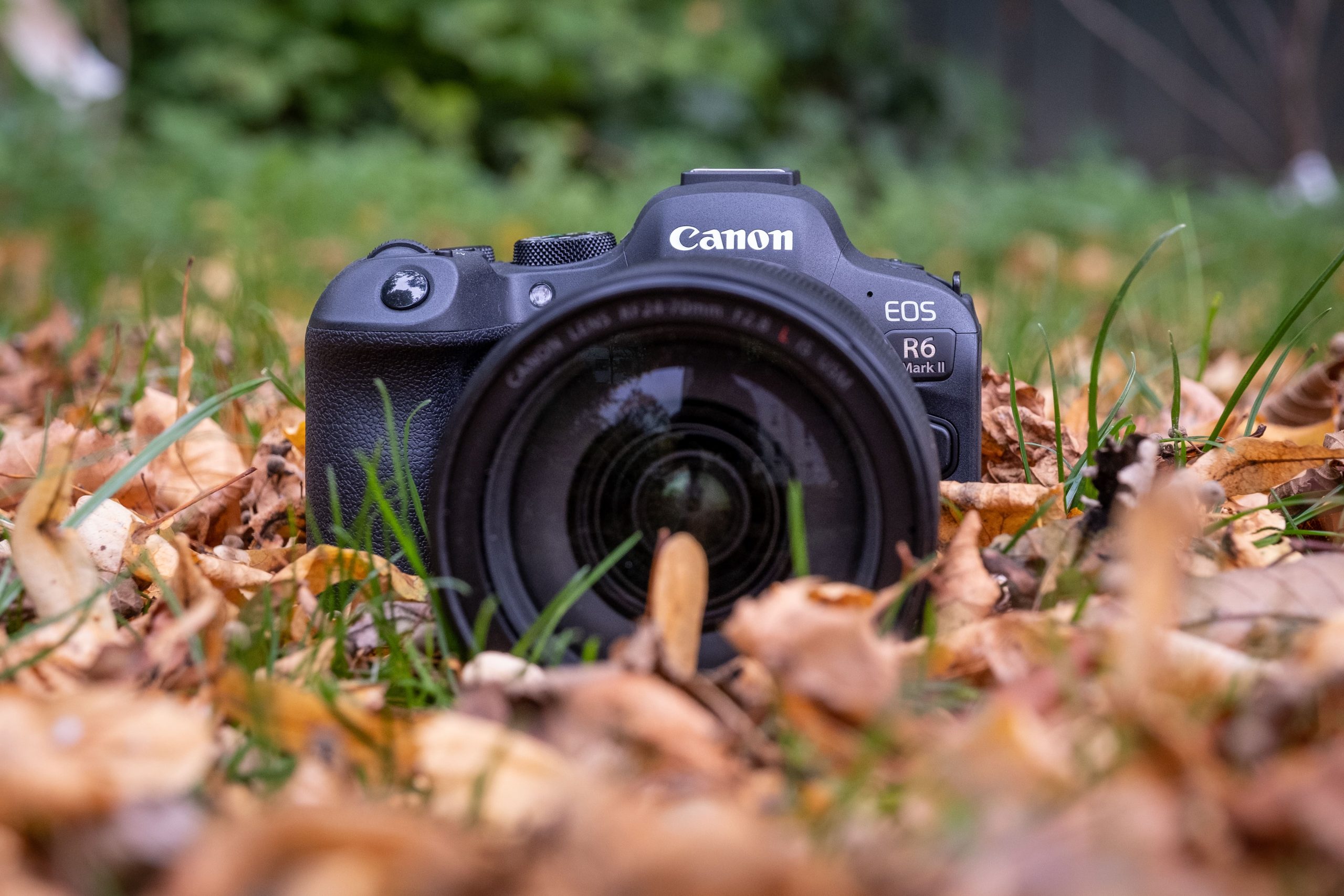 Canon EOS R6 Mark II