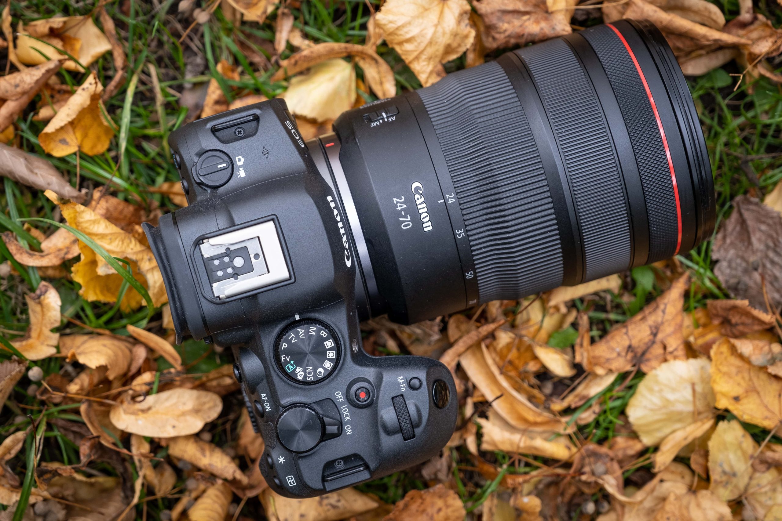 Canon EOS R6 Mark II