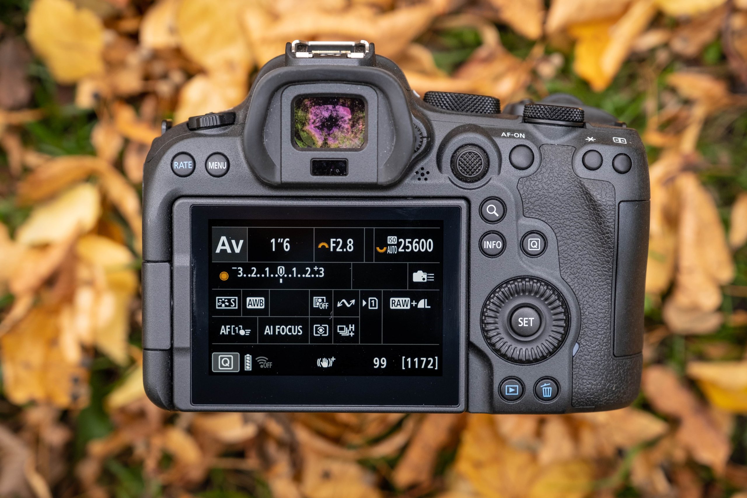 Canon EOS R6 Mark II