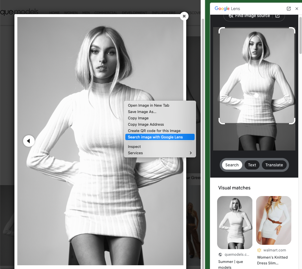 Bilde viser hvordan du bruker Google Lens til bildesøk